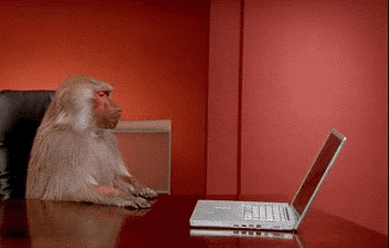website-monkey
